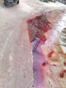 屠宰最新爆料消息网,屠宰行业惊人内幕大揭秘！  第2张