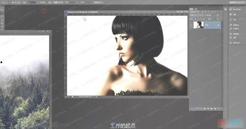 爆料教科书的原视频,真实历史背后的惊人真相  第1张