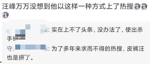 台湾黄安爆料张子怡视频,真相与争议  第2张