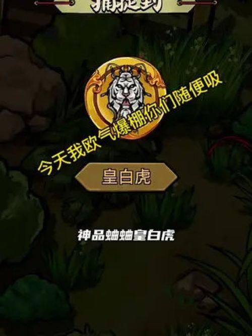 蛐蛐也疯狂最新爆料,最新爆料揭秘幕后故事  第3张